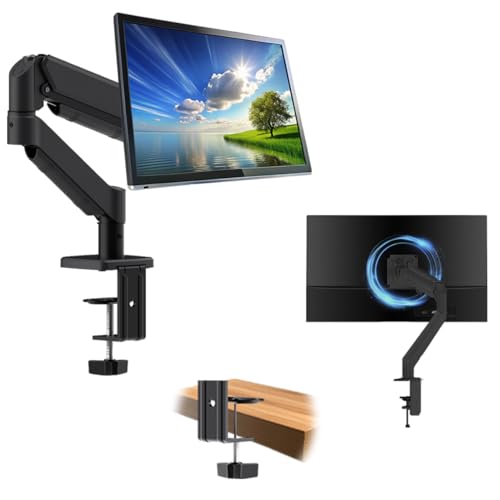 BigPassport Gas Spring Monitor Arm