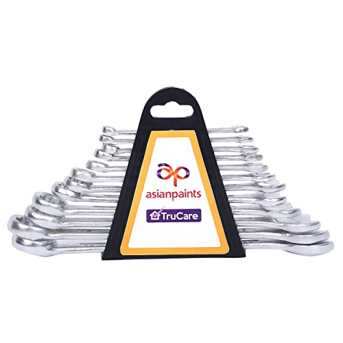 Asian Paints TruCare 12-in-1 Pcs