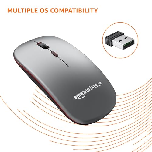 amazon basics 2.4GHz Wireless +