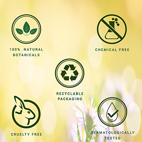 Biotique Bio Morning Nectar Lotion