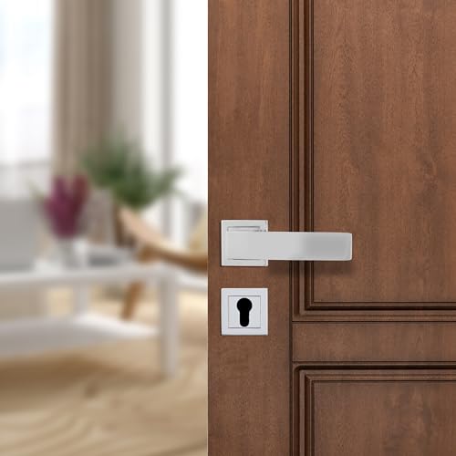 amazon basics Door Handle