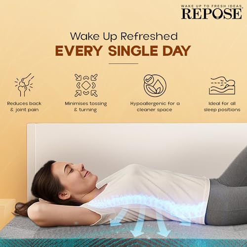 Repose Eyelidz Spine Pro Orthopaedic