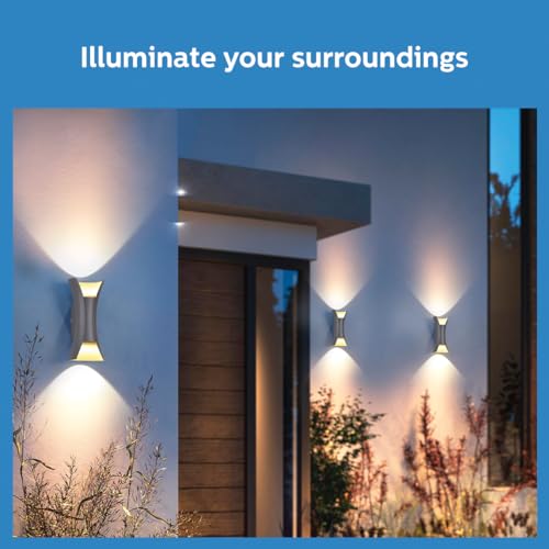 Philips aluminium 10W Vertical decorative
