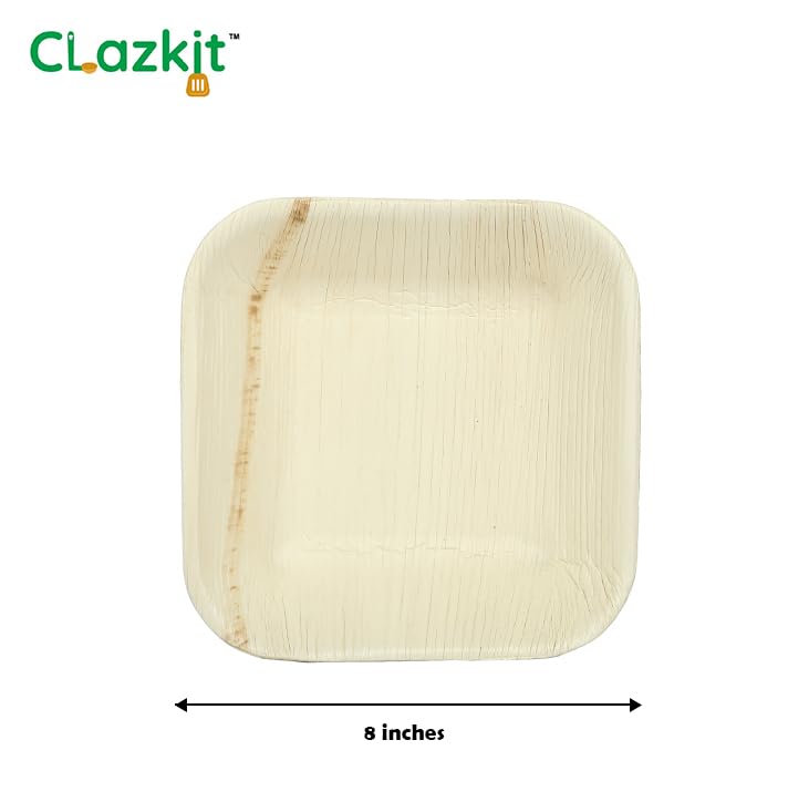 Clazkit 50 Pack Areca Square