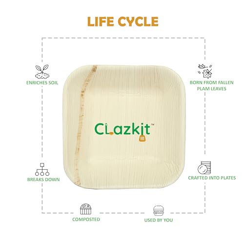 Clazkit 50 Pack Areca Square