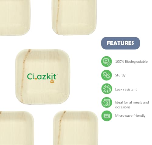 Clazkit 50 Pack Areca Square