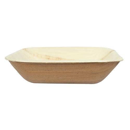 Clazkit 50 Pack Areca Square
