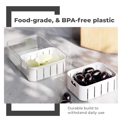 Lifelong 2-Compartment Fridge Storage Box