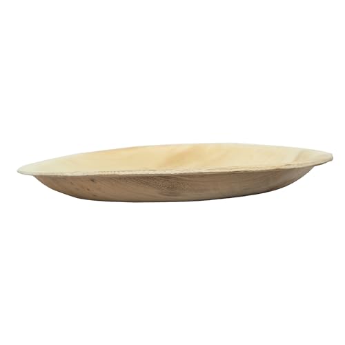Clazkit 10 inch, Pack Areca
