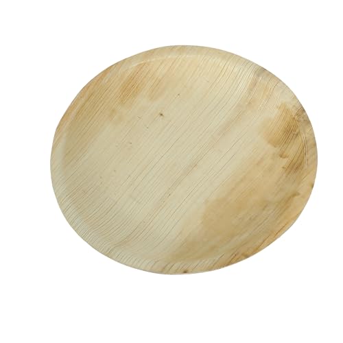 Clazkit 10 inch, Pack Areca