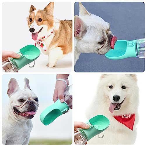 Ekarpet Dog Water Bottle