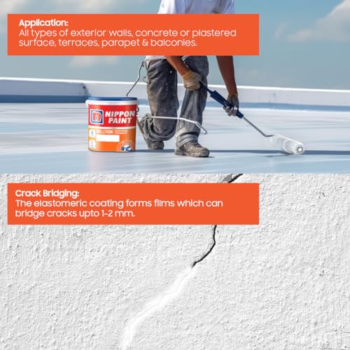 Nippon Paint Walltron Hydroshield Dampproof