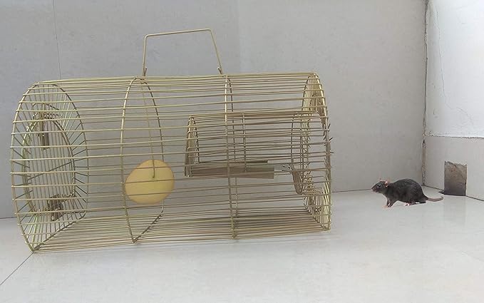 HiCare Mouse/Rat Trap for catching