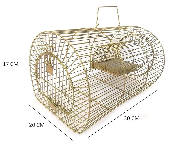 HiCare Mouse/Rat Trap for catching