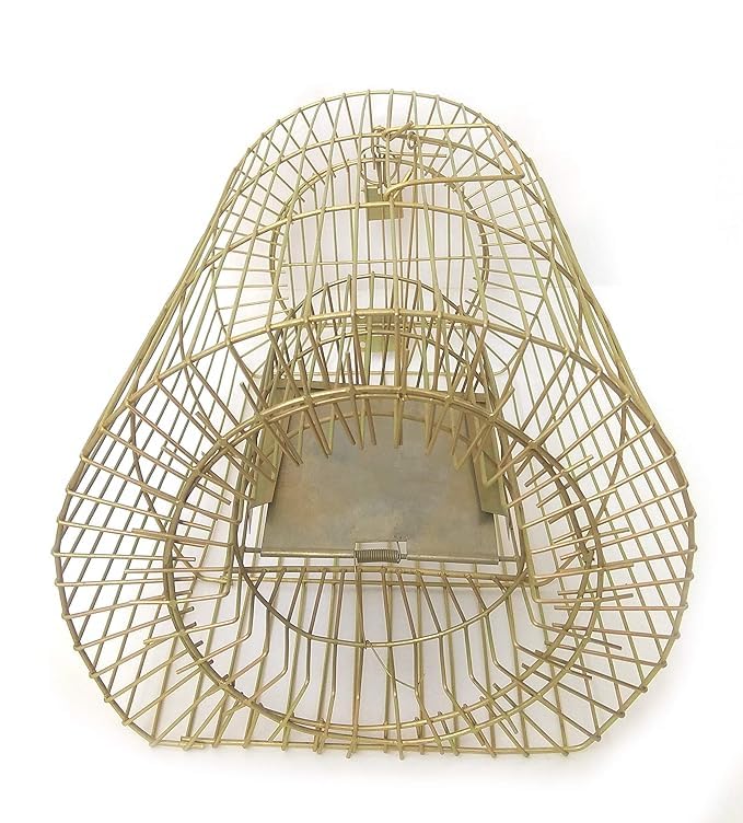 HiCare Mouse/Rat Trap for catching