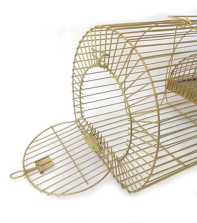 HiCare Mouse/Rat Trap for catching