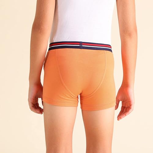 U.S. Polo ASSN. Boy's Cotton Casual Style Trunks (Pack of 2) - Image 3