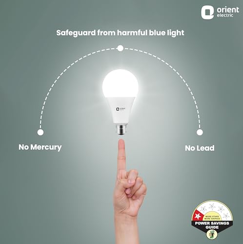 Orient Electric 23W LED Bulb