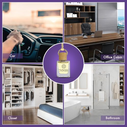 Mehrish Liquid Car Perfume Diffuser