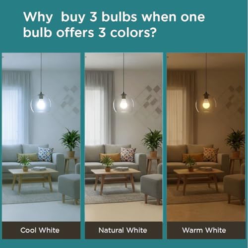 Philips SceneSwitch 12W LED Bulb