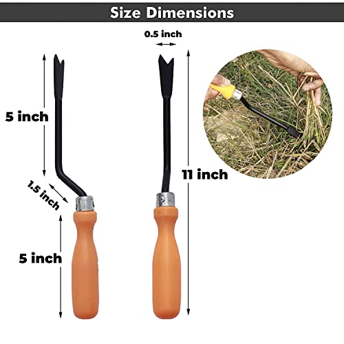 Gardening Tools Kit, 2 Trowels
