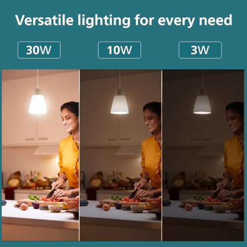 Philips 30W Dimmable LED Bulb