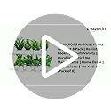 Artificial Plants with Pot 8