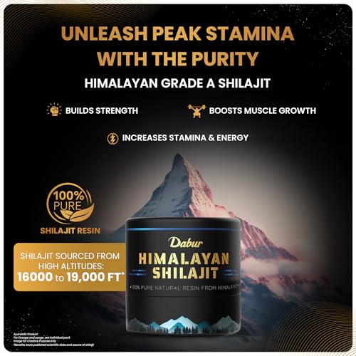 Dabur Himalayan Shilajit/Shilajeet Resin