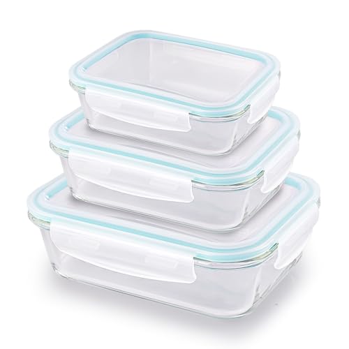 ATTRO Glassox Classic Rectangle Lunch