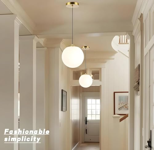 Mahganya Decoration Modern Ceiling Lamp