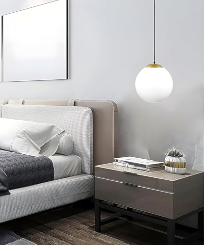 Mahganya Decoration Modern Ceiling Lamp