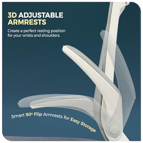 CELLBELL Swift Ergonomic Mesh Office
