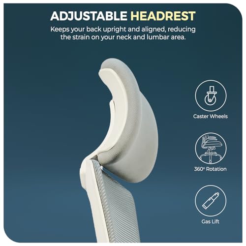 CELLBELL Swift Ergonomic Mesh Office