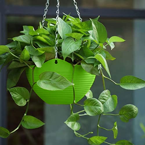 wolpin 5 Pcs Plastic Flower