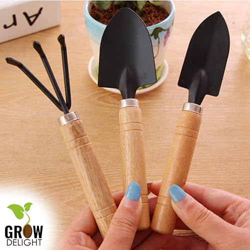 Gardening Tools Kit-4 Pcs|Mini Gardening