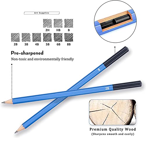 Corslet 41 Pcs Professional Drawing