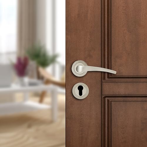 amazon basics Door Handle