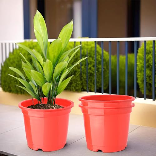 Kuber Industries Flower Pot