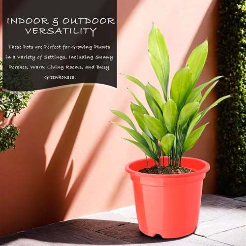 Kuber Industries Flower Pot