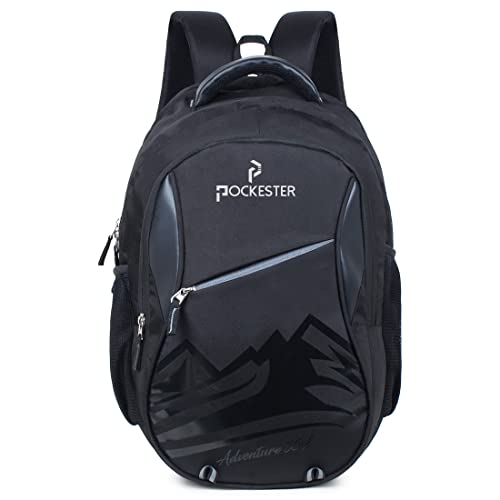 Large 35 L Laptop Office