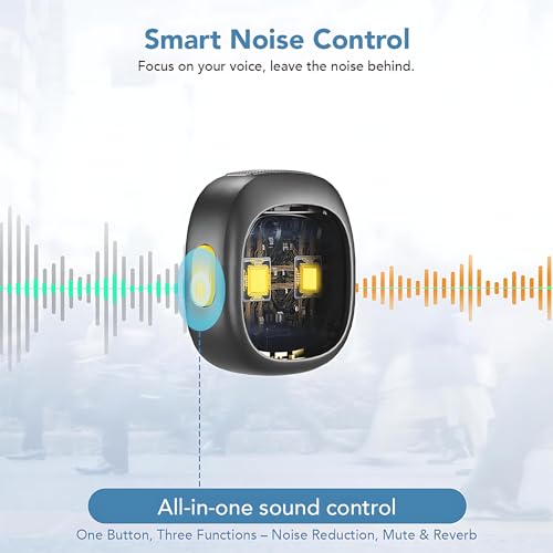 LEKATO Wireless Microphone with Noise