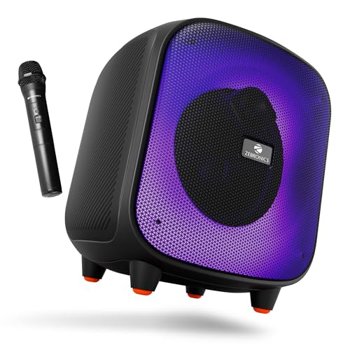 ZEBRONICS Sound Feast 800, Portable