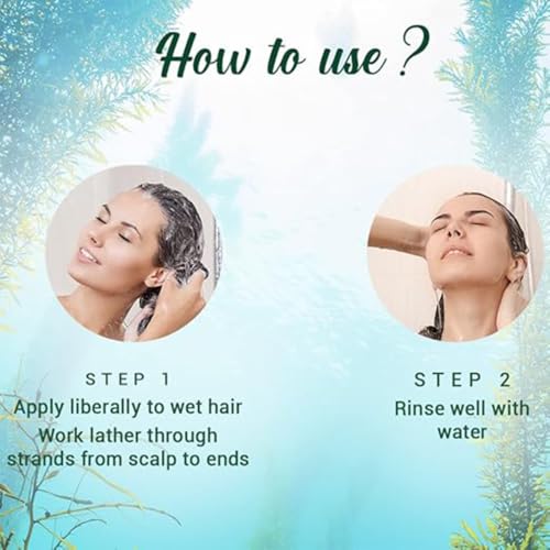 Biotique Ocean Kelp Anti Hairfall