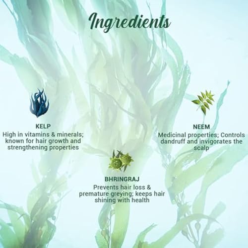 Biotique Ocean Kelp Anti Hairfall