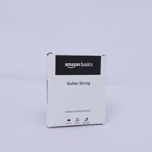 Amazon Basics EXL120 Nickel Wound