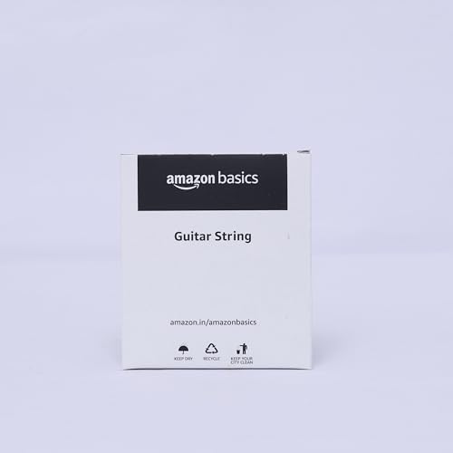 Amazon Basics EXL120 Nickel Wound