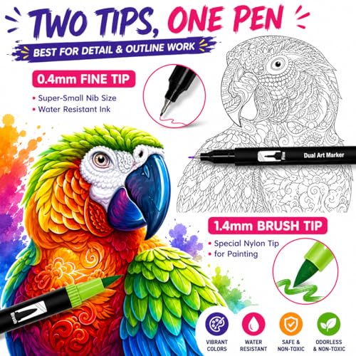 Corslet 12 Pcs Dual Tip