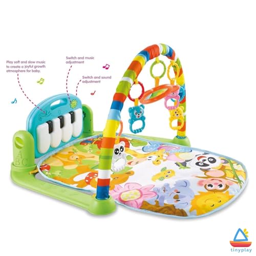 Baby Play Gym for Babies