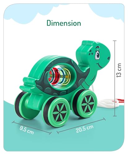 Mini Steps Pull Along Turtle