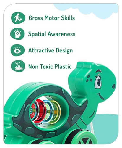 Mini Steps Pull Along Turtle